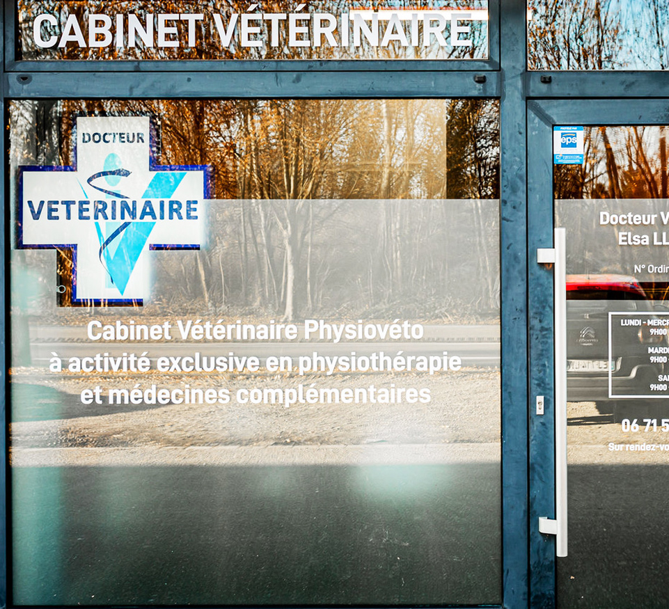 Vitrine-04